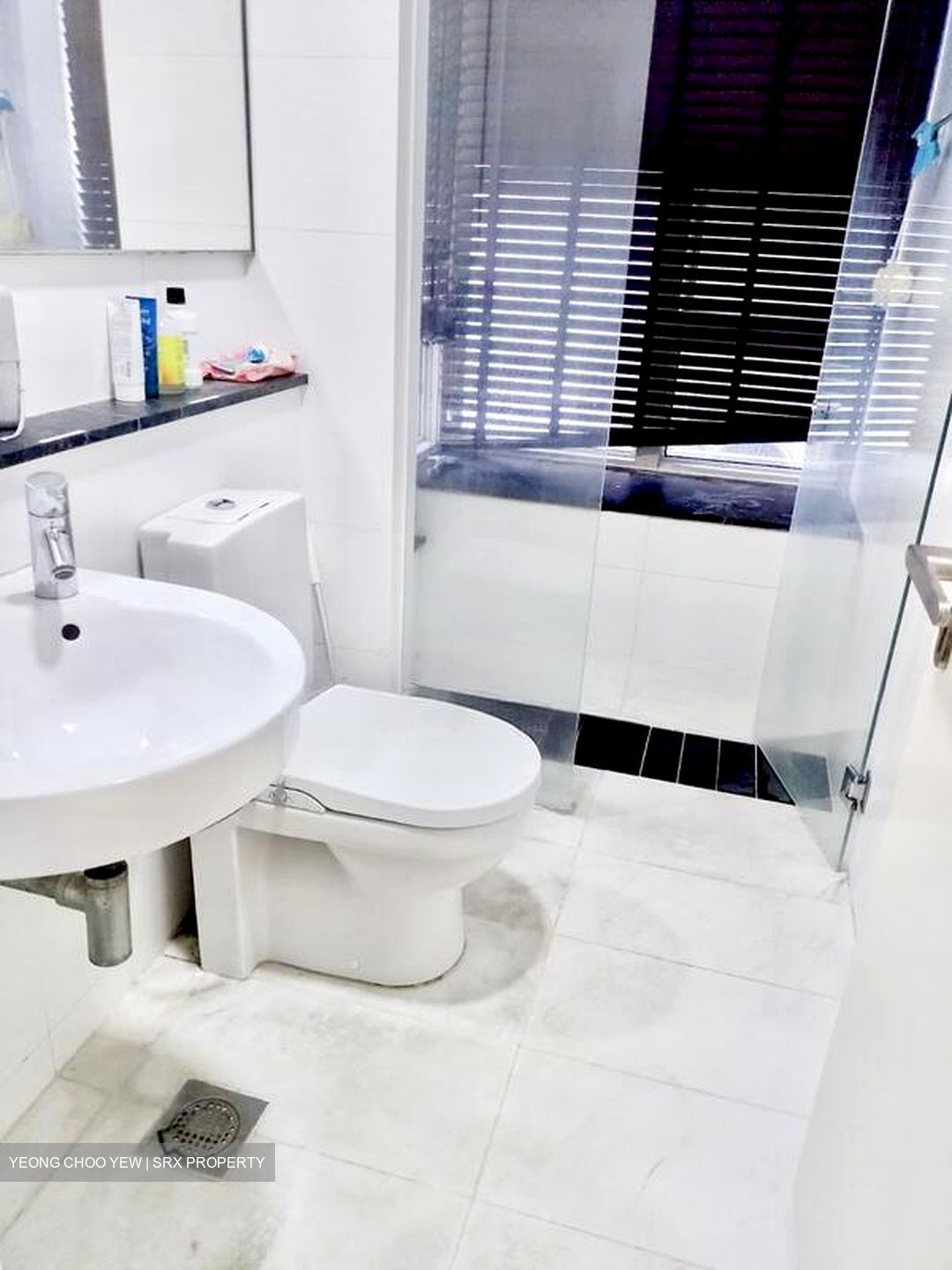 The Centris (D22), Apartment #498903981